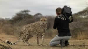 Quand solidarité rime avec IICP
