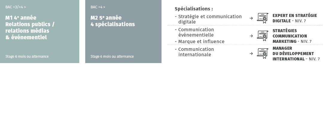 IICP schéma mastère communication