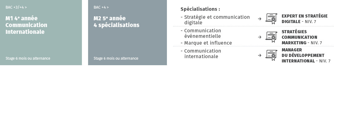 IICP schéma mastère communication 