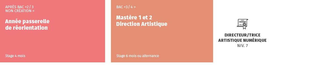 shcémia iicp passerelle création